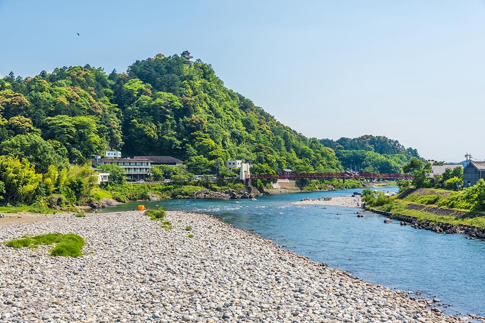 長良川の清流ではぐくむお米