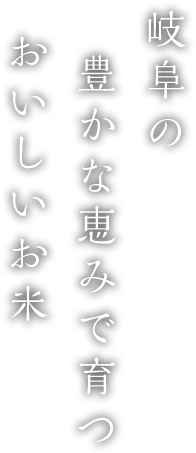 岐阜の豊かな恵みで育つ        おいしいお米
